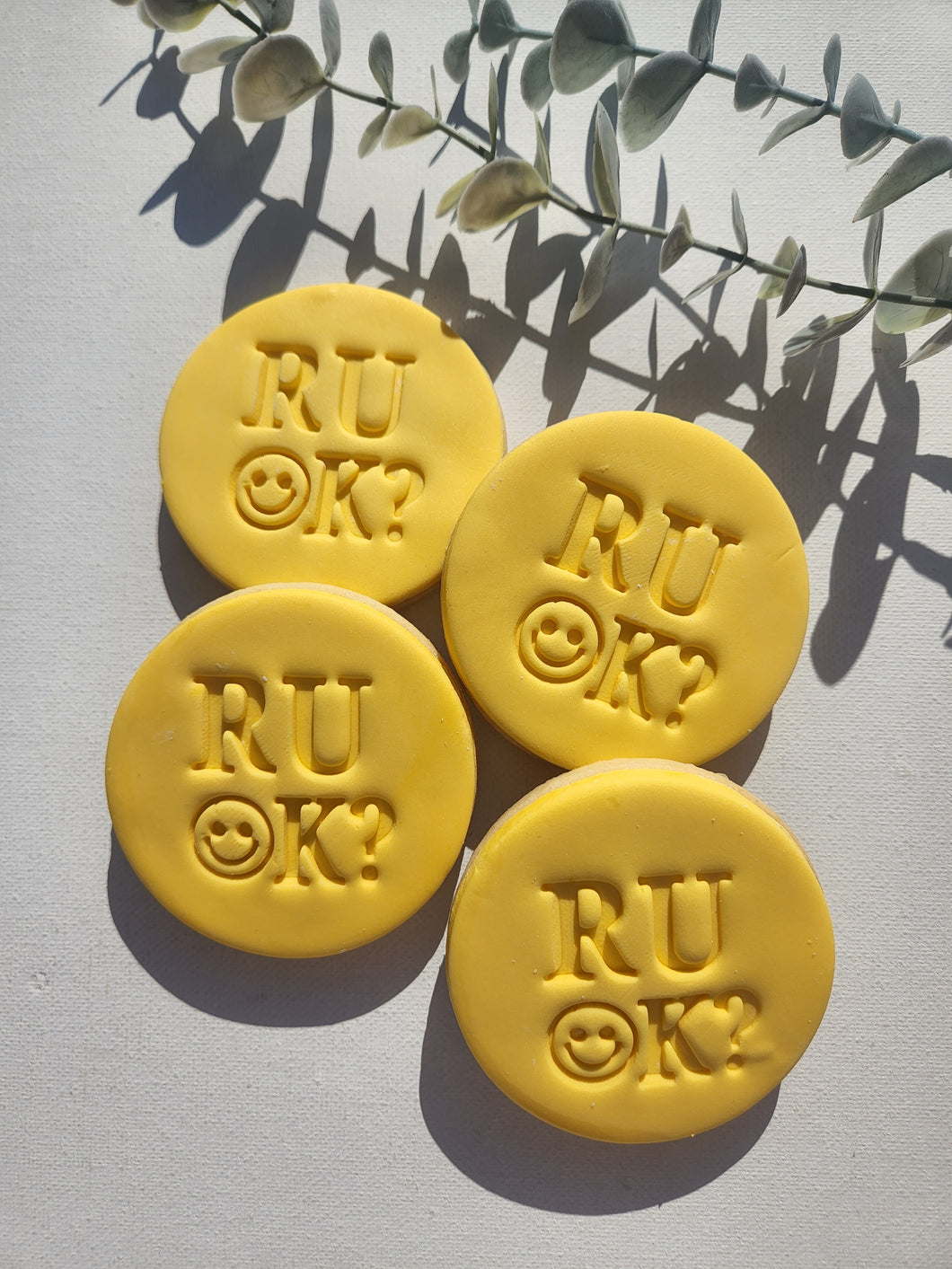 R U Ok? Cookies