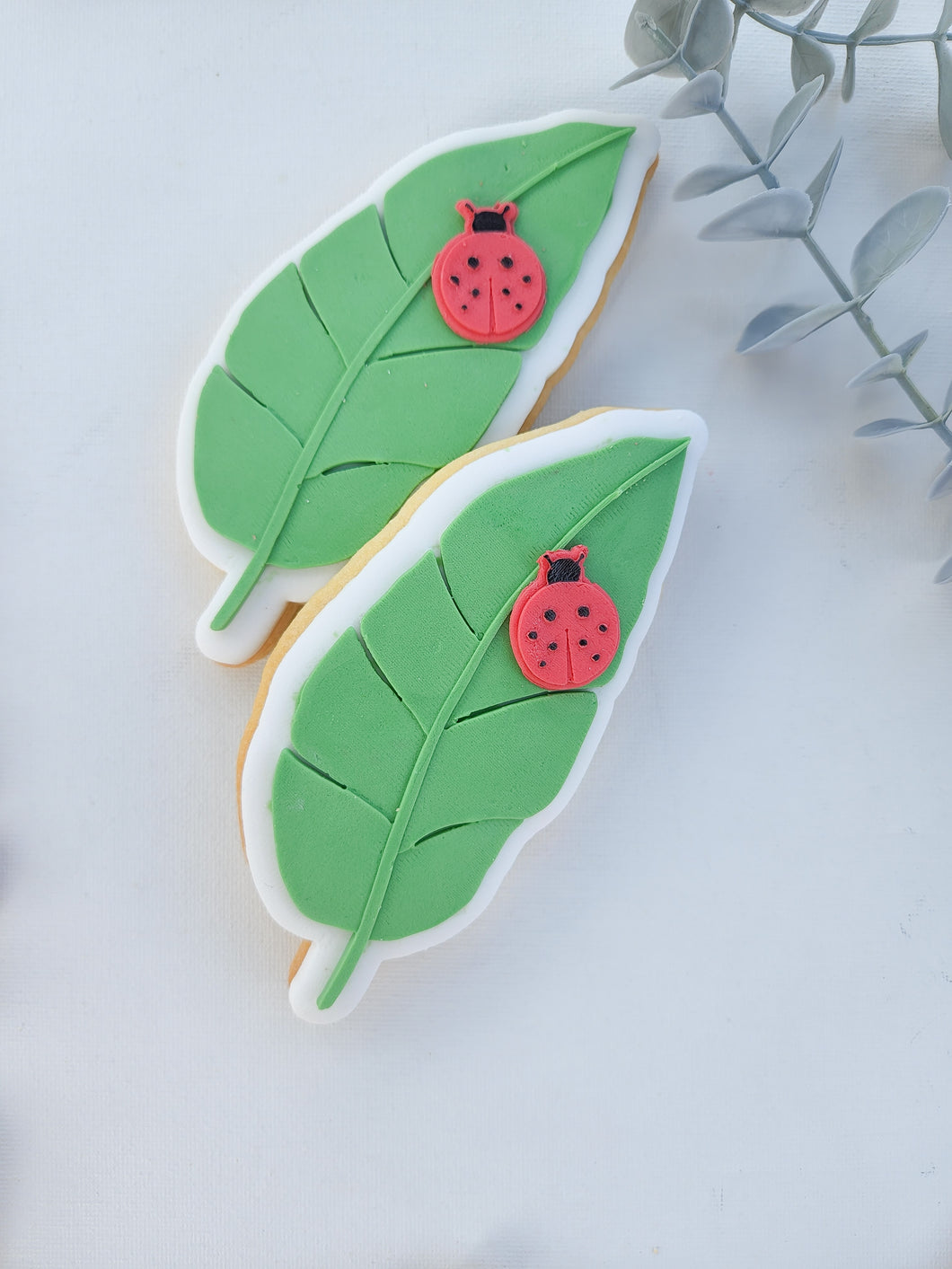 Garden Leaf