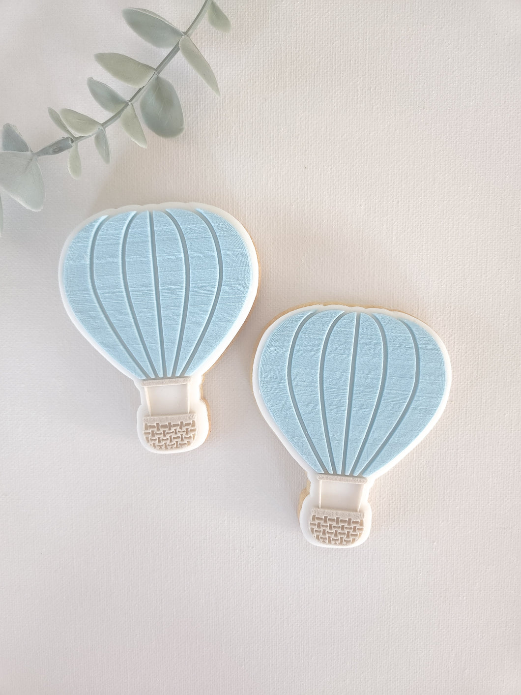 Hot Air Balloon